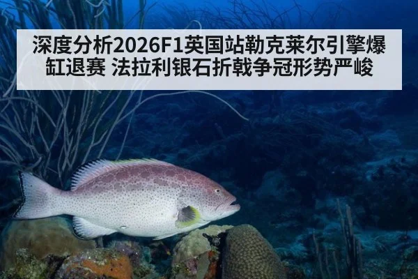 深度分析2026F1英国站勒克莱尔引擎爆缸退赛 法拉利银石折戟争冠形势严峻